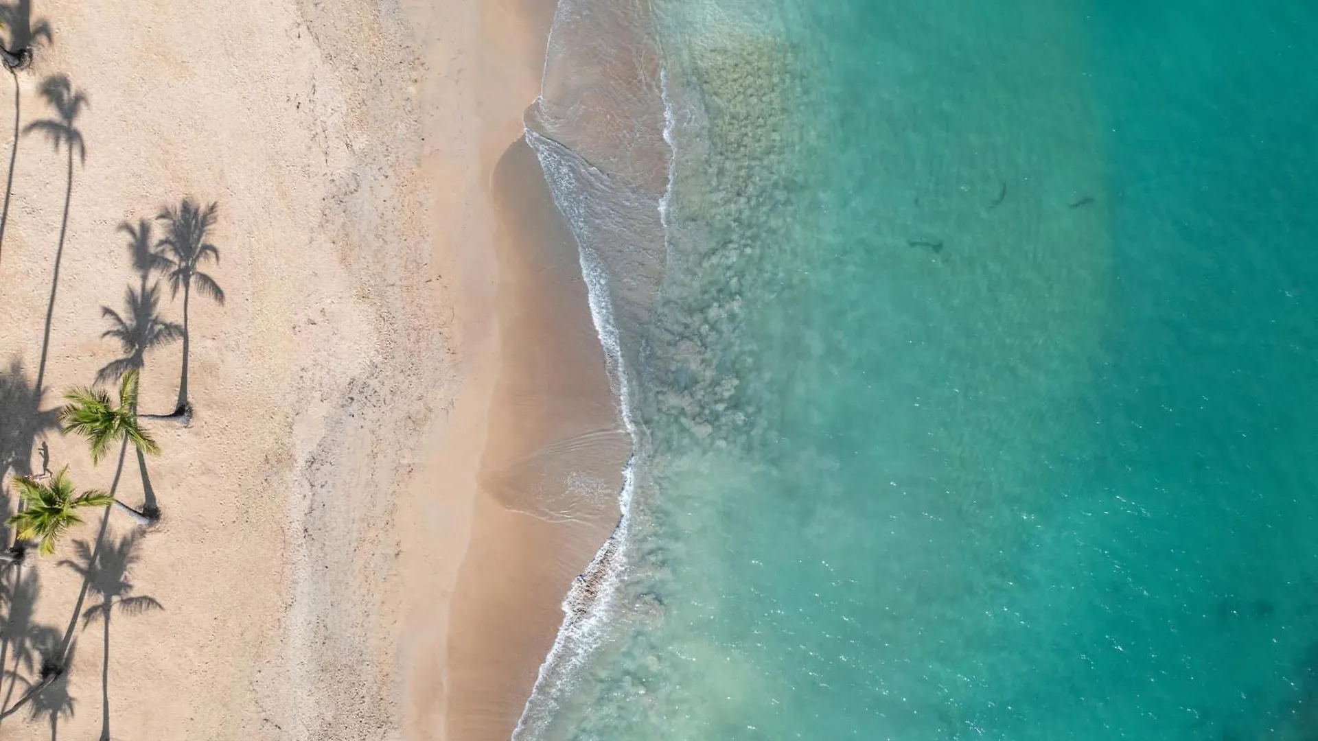 Wyndham Alltra Punta Cana All Inclusive Resort República Dominicana